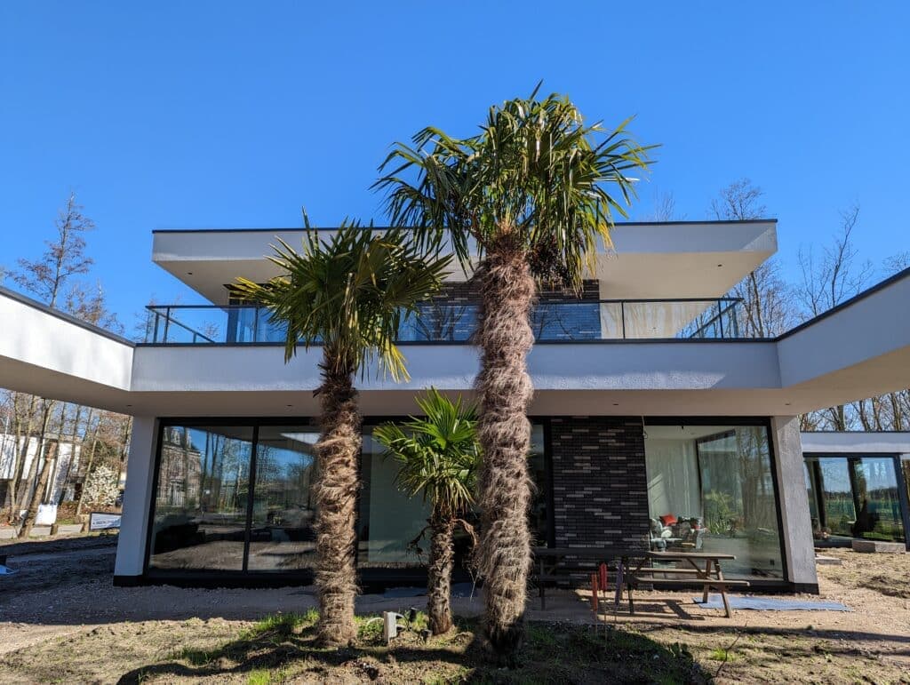 Wat Kost een Stucadoor? Ontdek de Prijs van Stucwerk